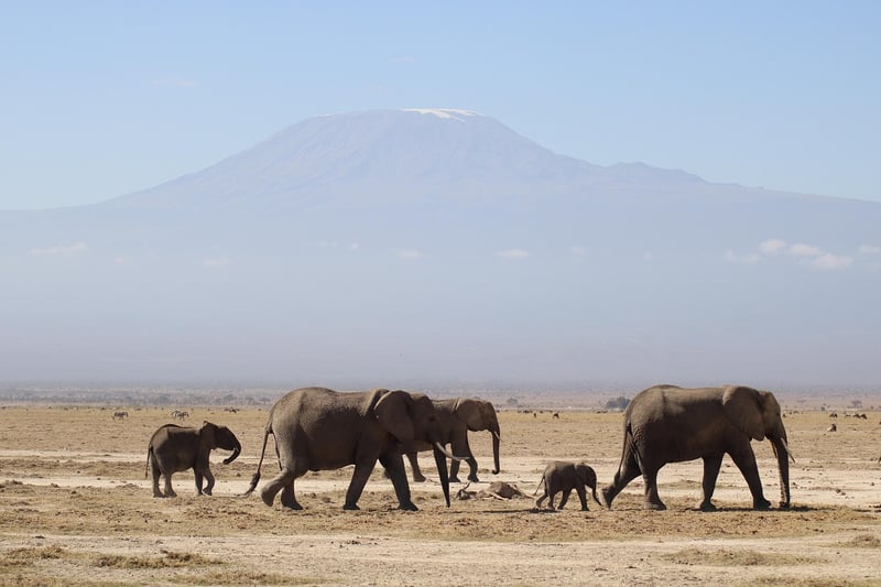 Maasai Mara National Reserve, Kenya