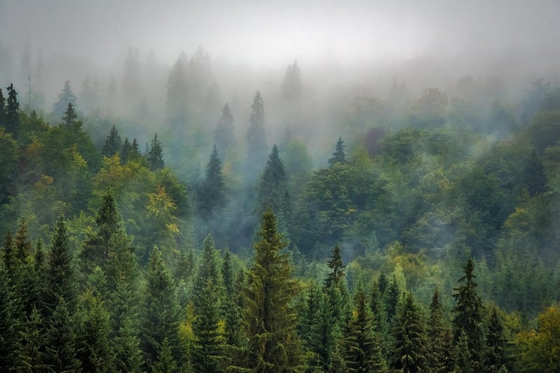 Adventure Landscape
