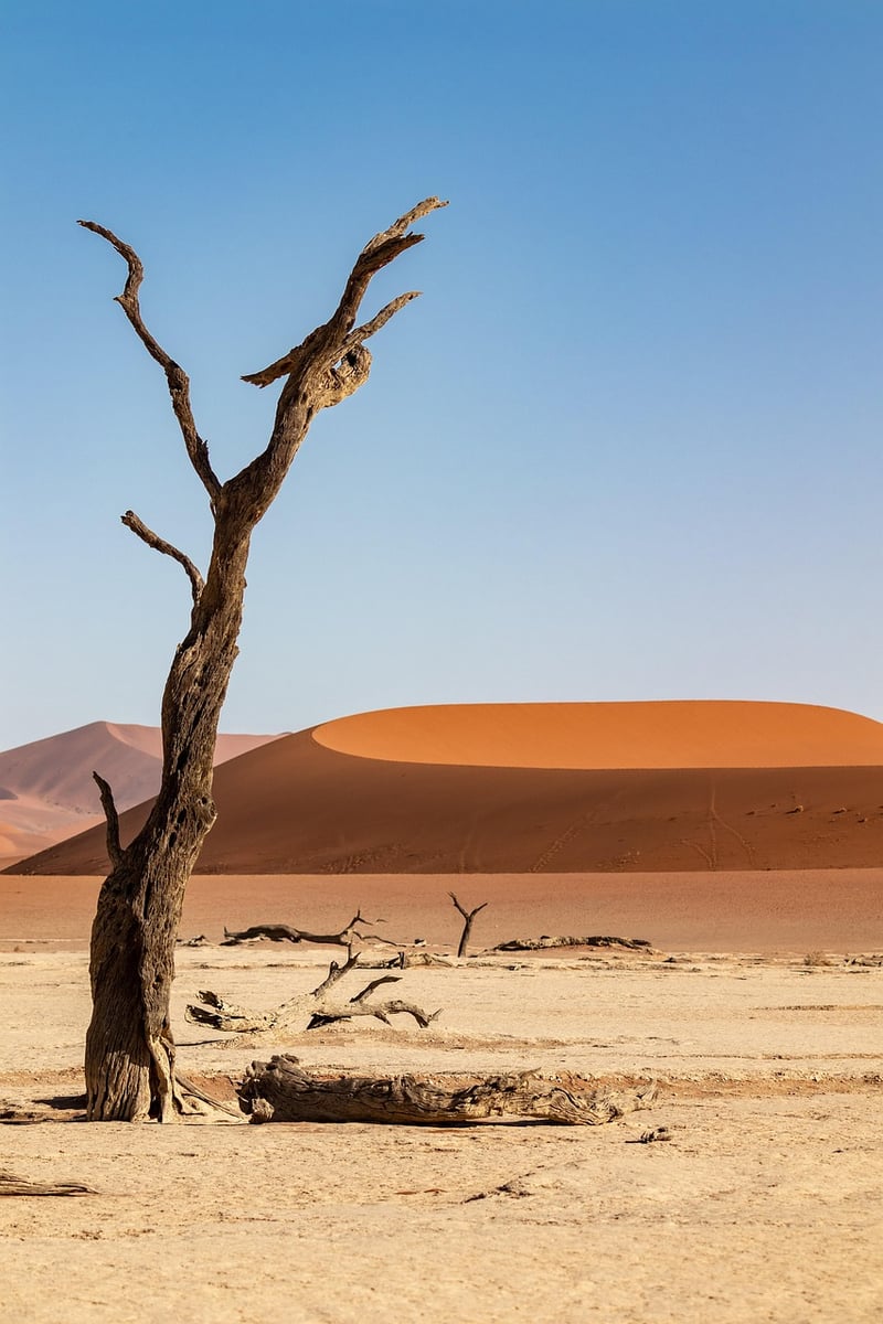 Namib Desert